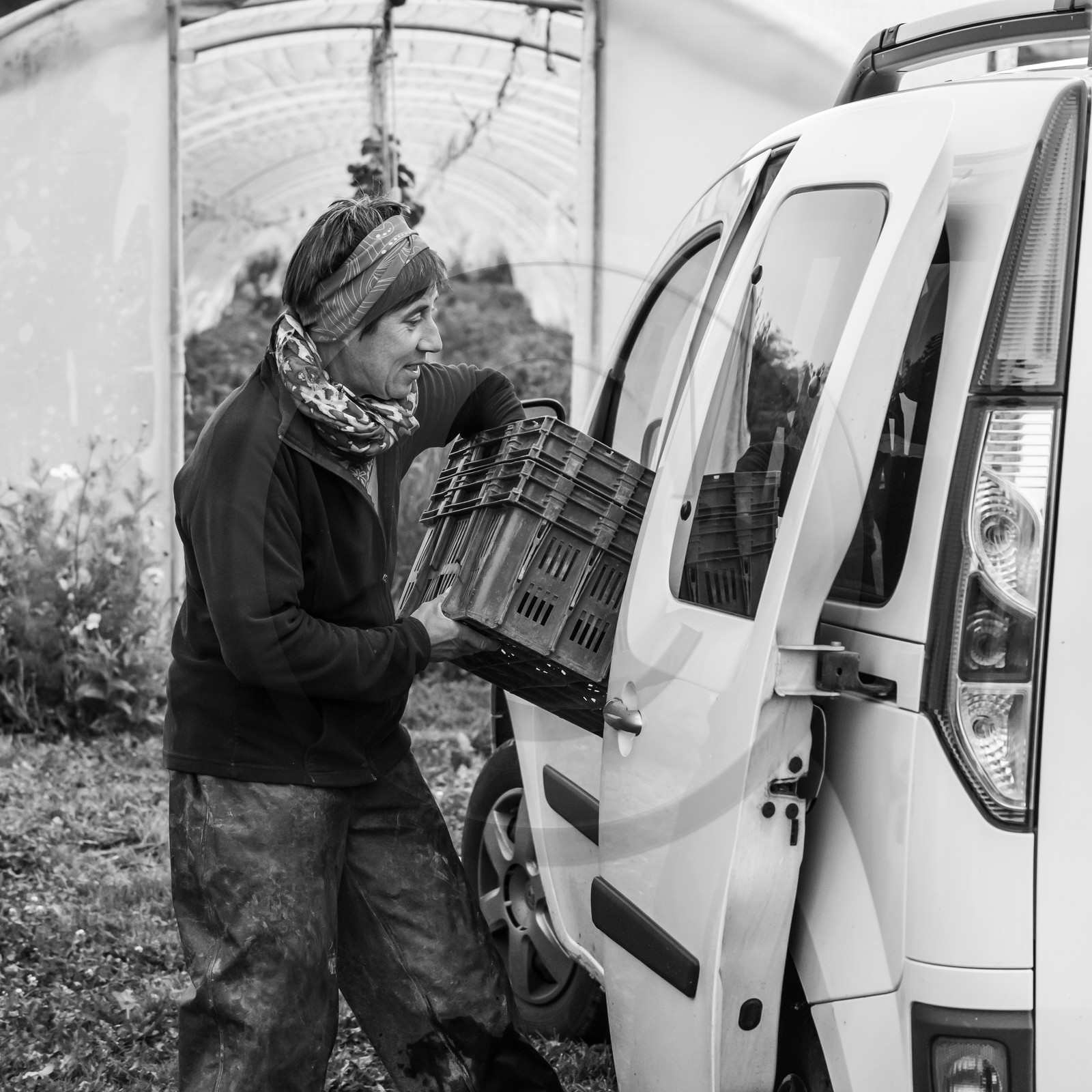 Maraichage biologique dans le Champsaur