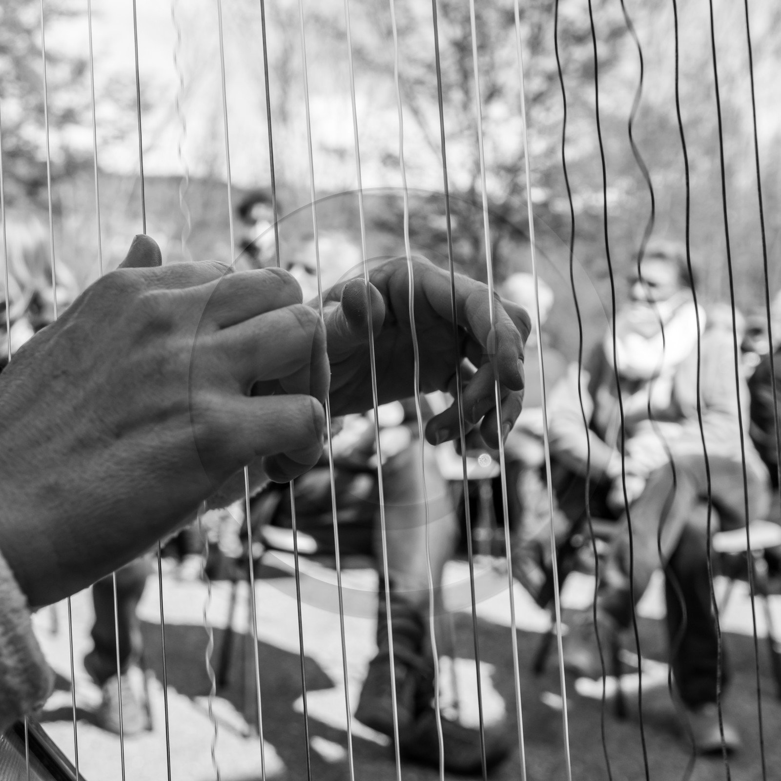 Animation musicale avec Philippe Séranne