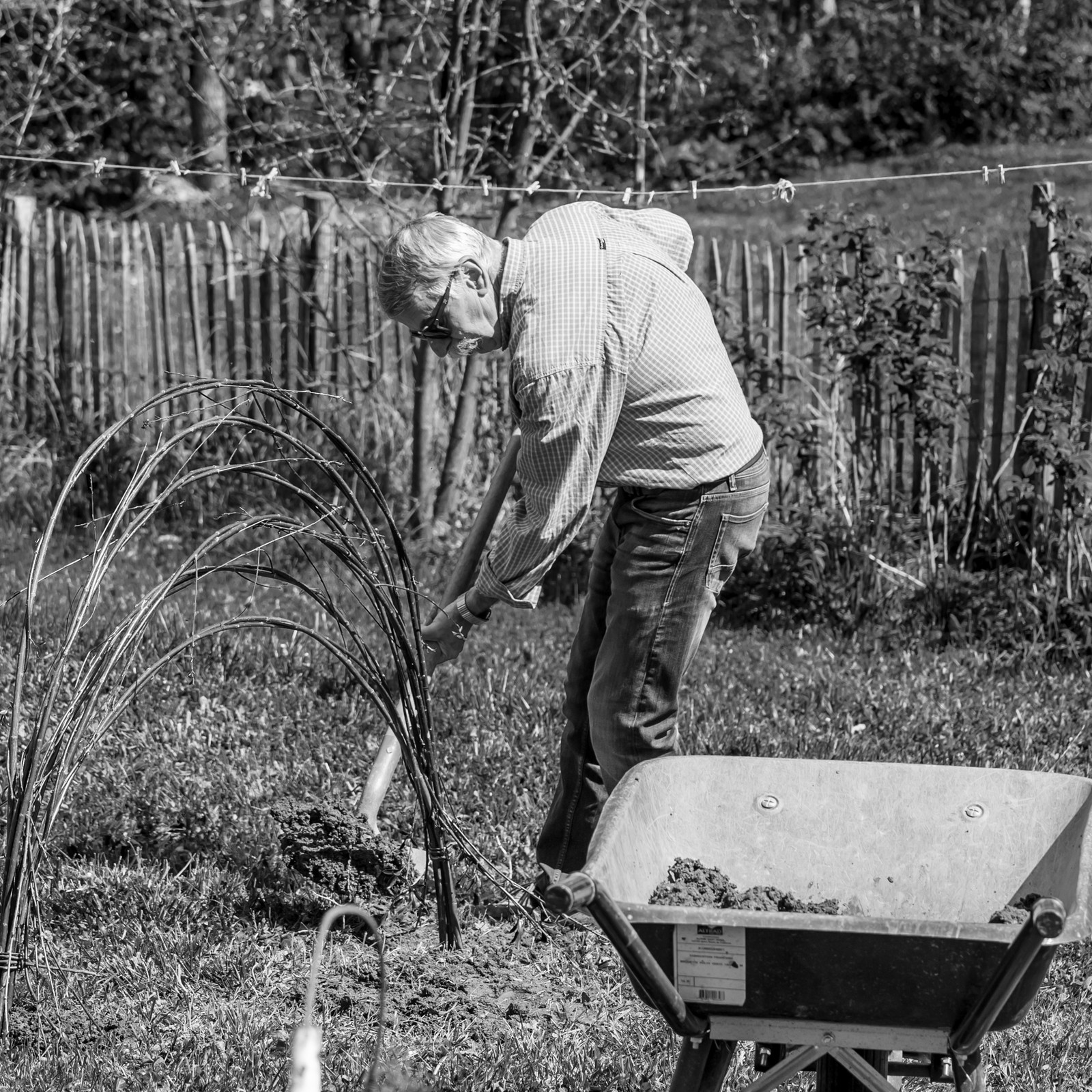 30 avril 2025 : Un oiseau en osier