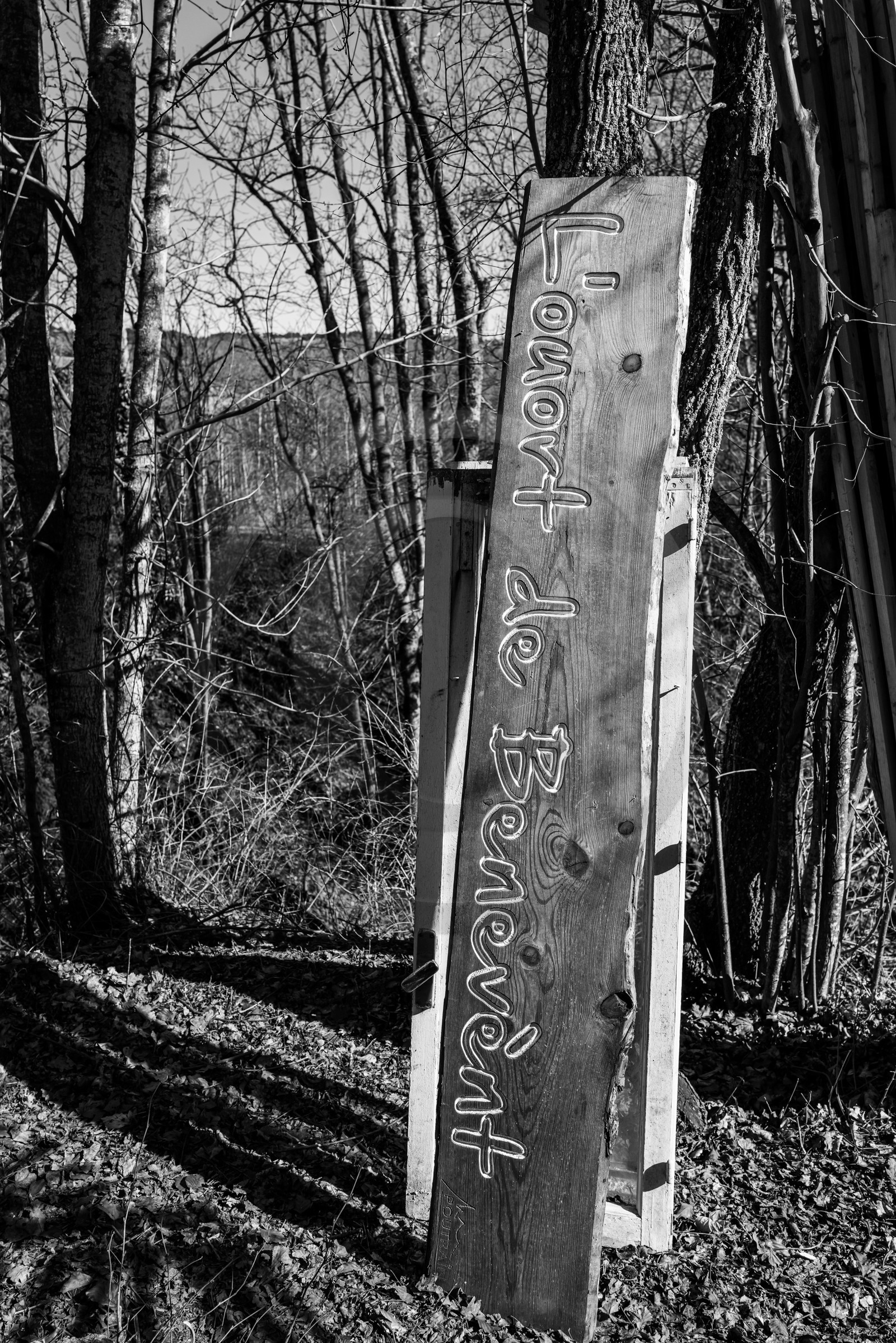 13 mars 2024 : c'est la reprise à l'Ouort