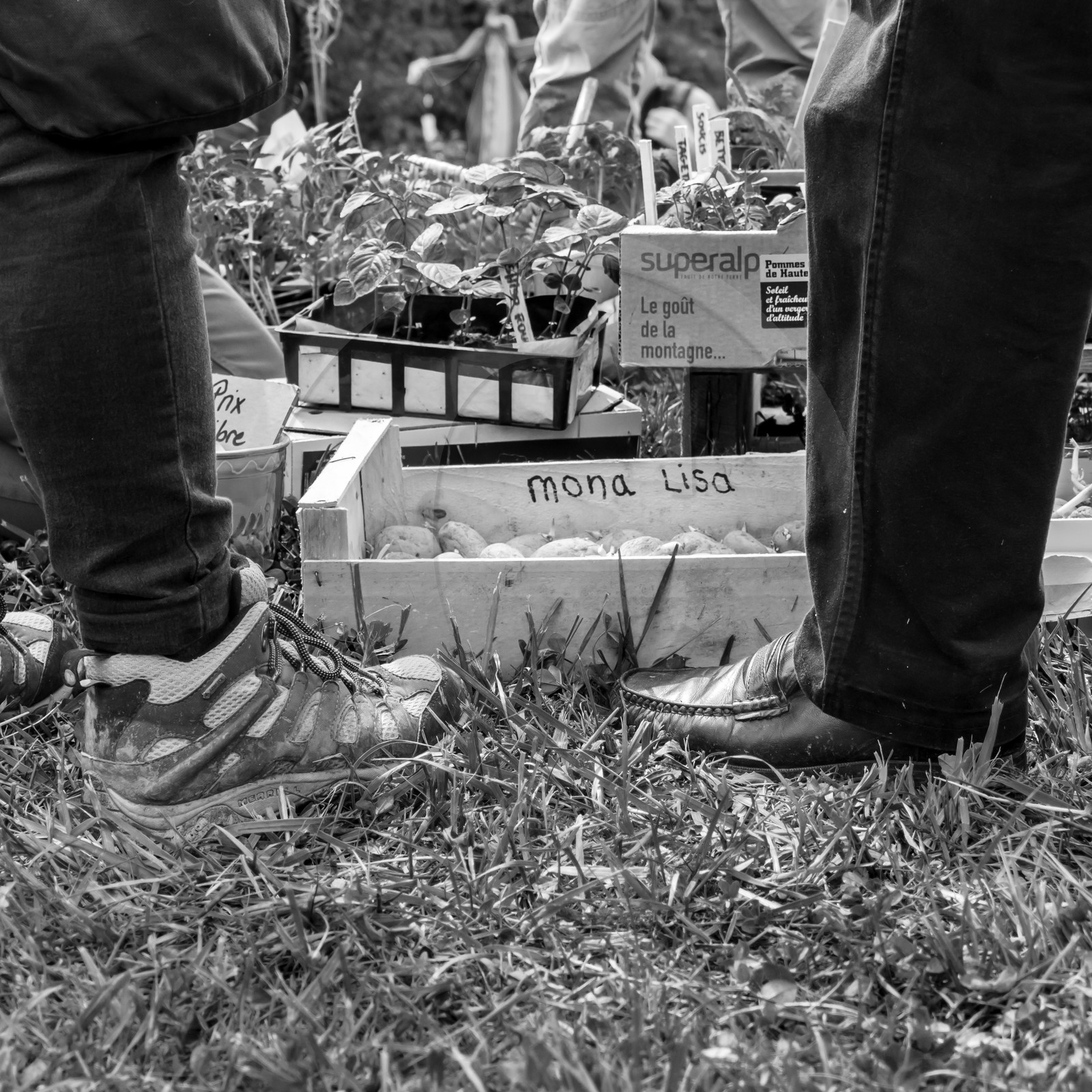 25 mai 2019 : Vide-Jardin de l'Ouort de Benevènt