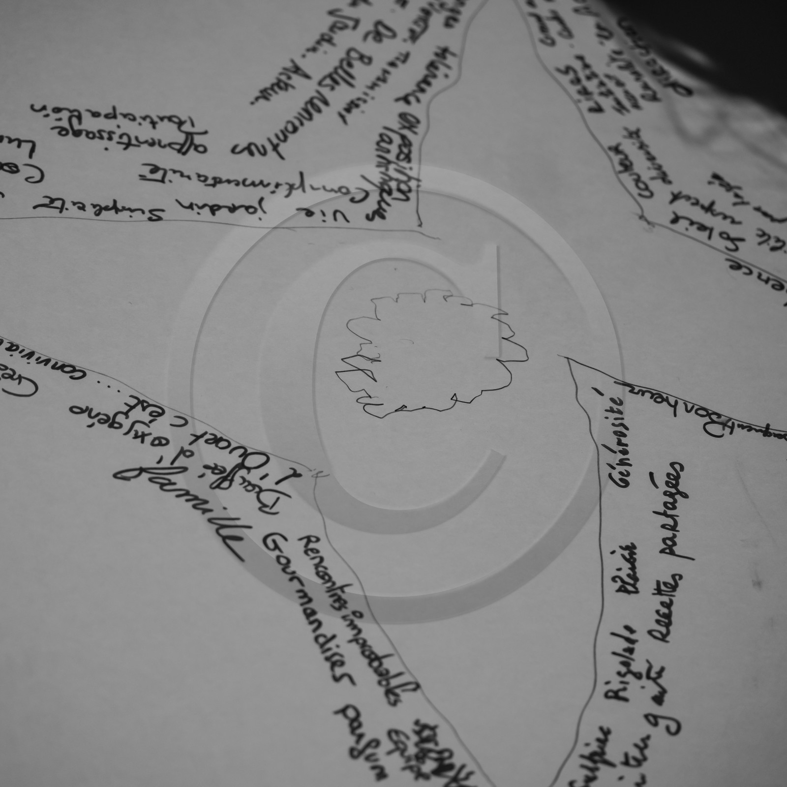 27 octobre 2021 : Un sentier et une réunion