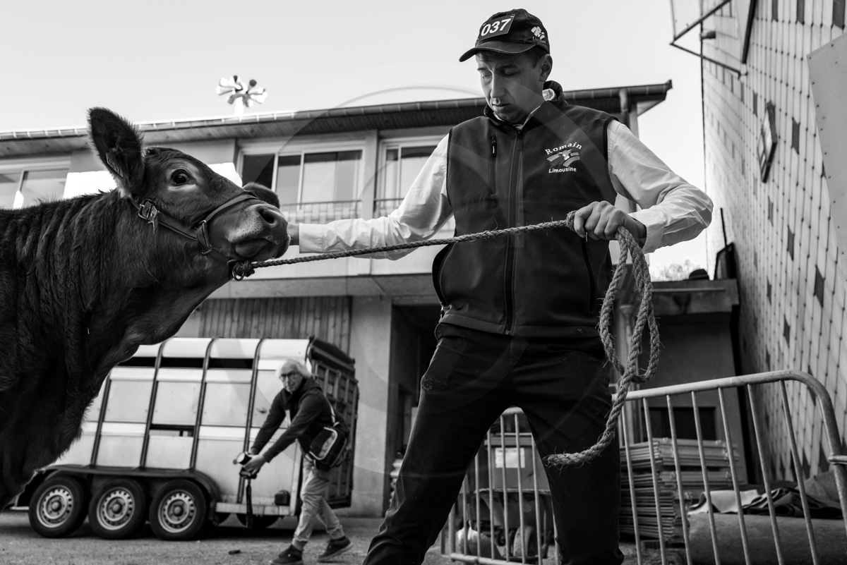 Rencontres paysannes à Saint-Bonnet en Champsaur