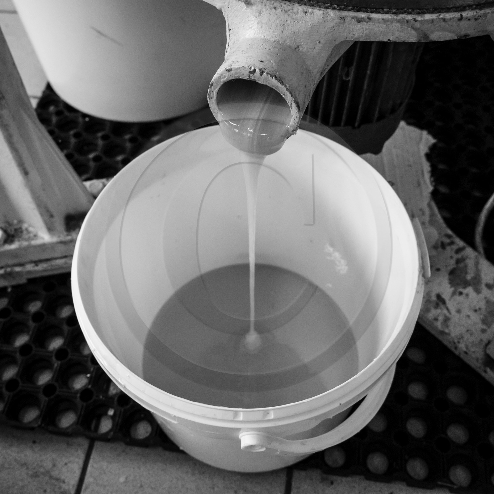 L'extraction du miel