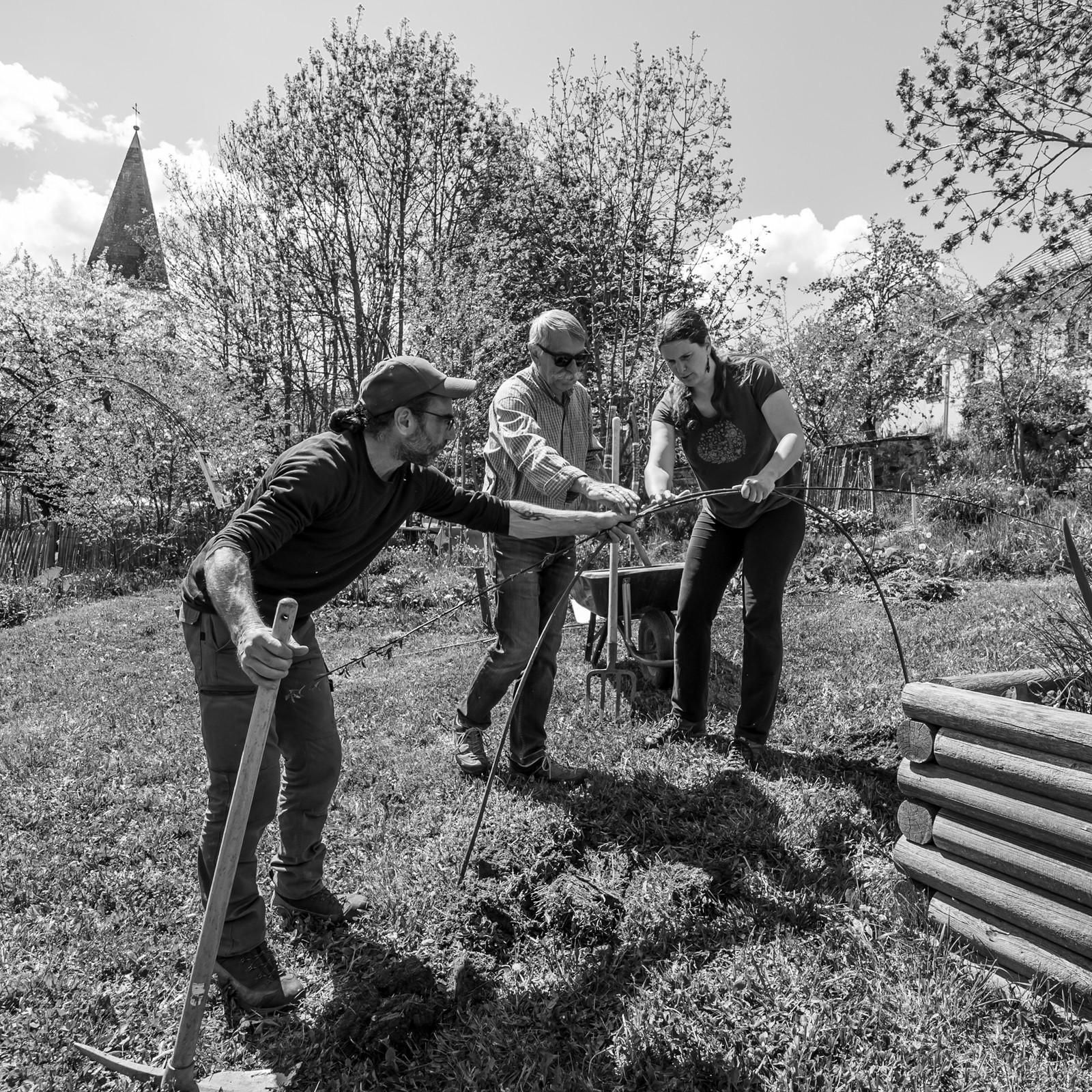 30 avril 2025 : Un oiseau en osier