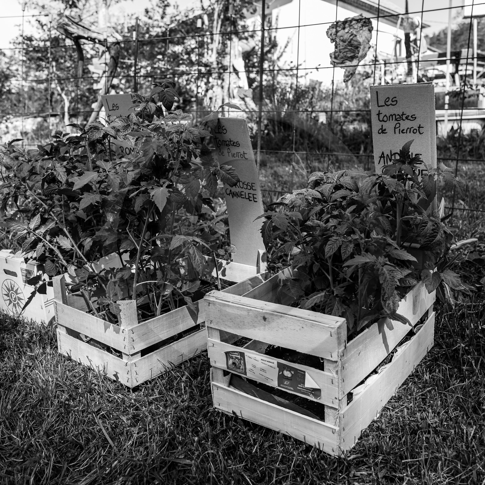 14 mai 2023 : Vide-Jardin 14 mai 2023 : Vide-Jardin