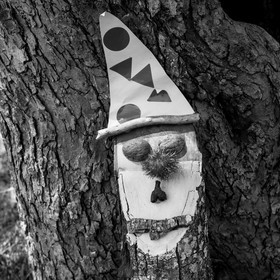 23 août 2017 - Animations