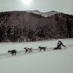 La Valgaude Traineau 2015