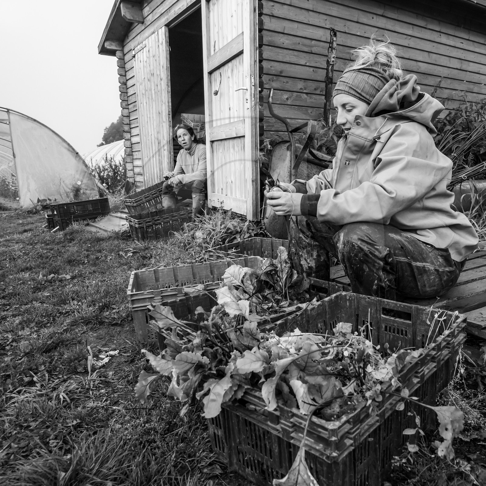 Maraichage biologique dans le Champsaur