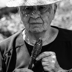 Atelier Fuseaux de lavande