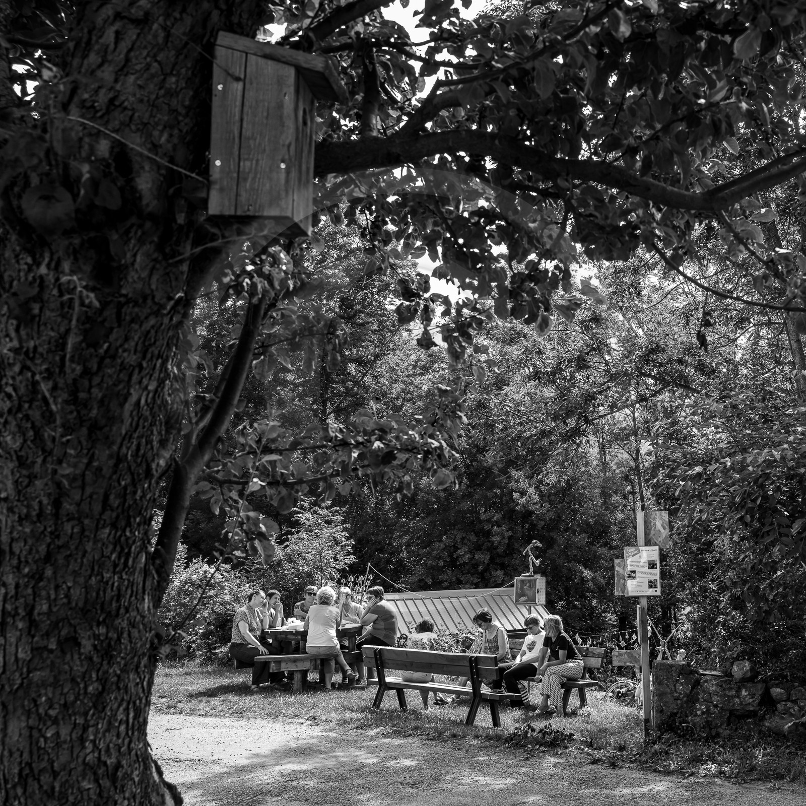 17 juillet 2023 : Journée des aidants et des aidés 17 juillet 2023 : Journée des aidants et des aidés