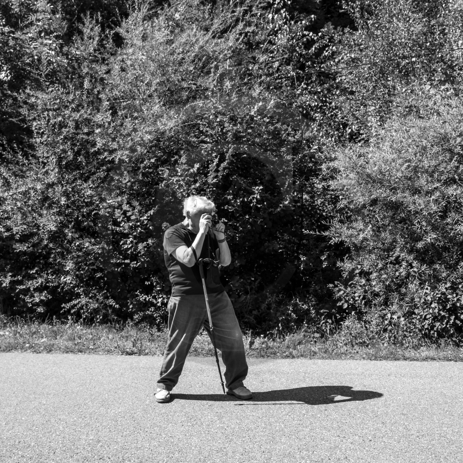 09 août 2017 - Scie mobile