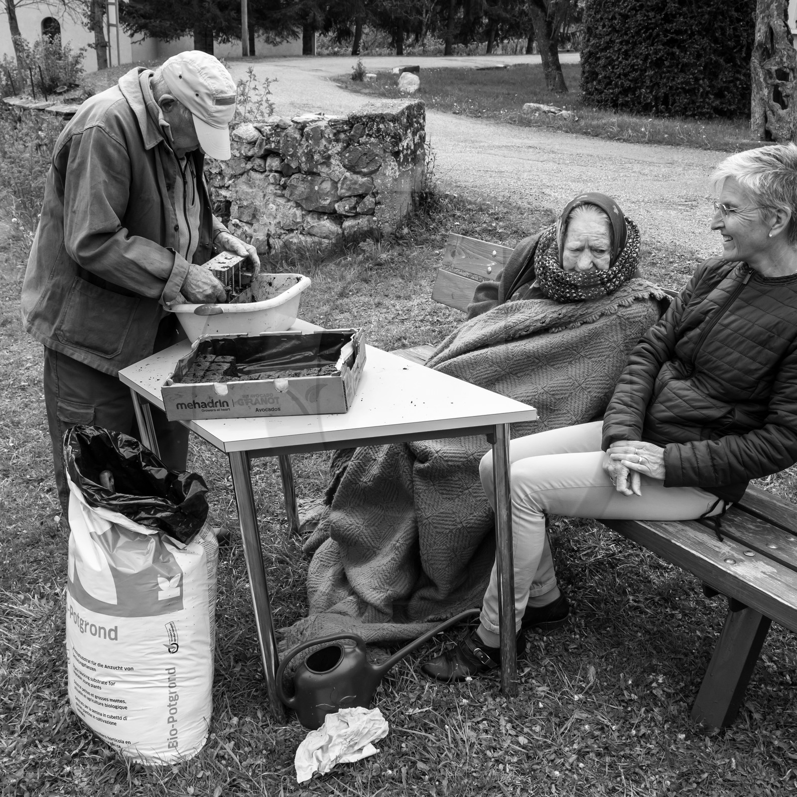 03 mai 2017 - Bac, semis et plantations