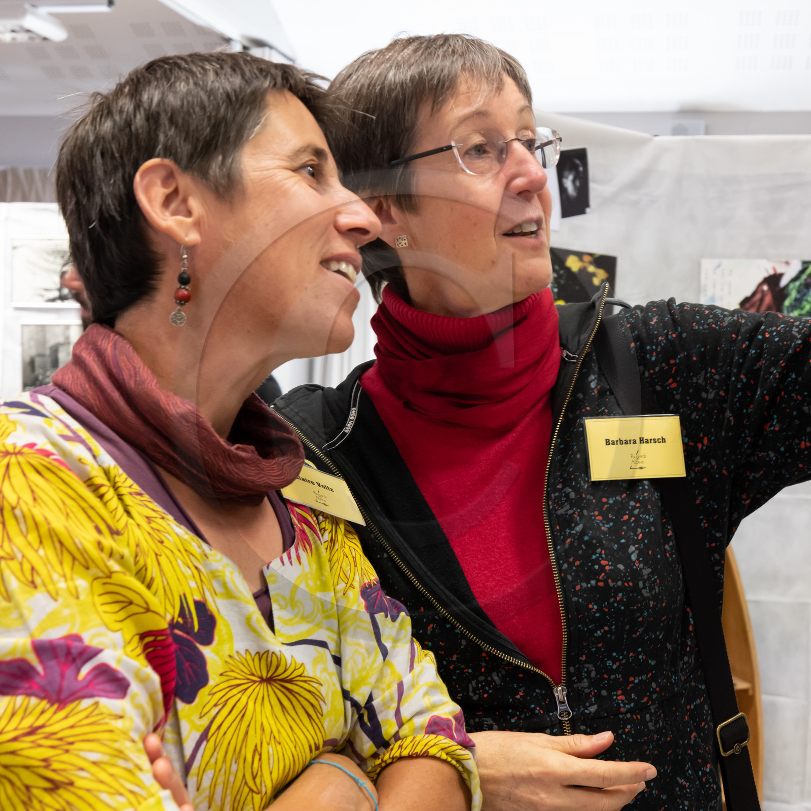 Automne photographique en Champsaur 2019 - Henri Bosco