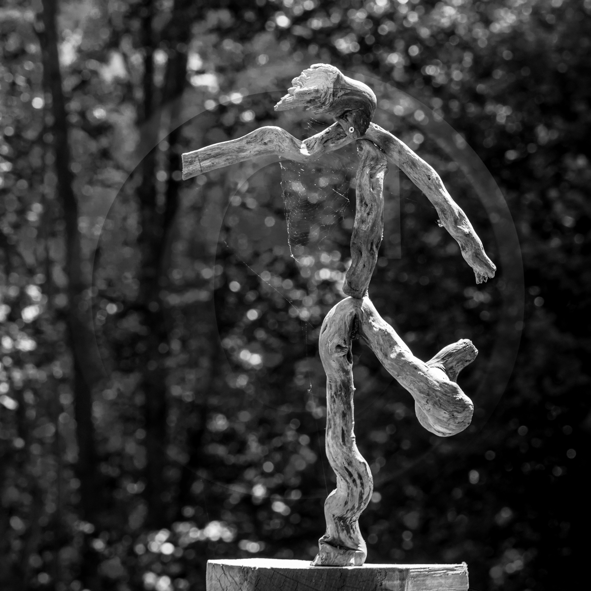 20 mai 2022 : 2ème journée des aidants 20 mai 2022 : 2ème journée des aidants