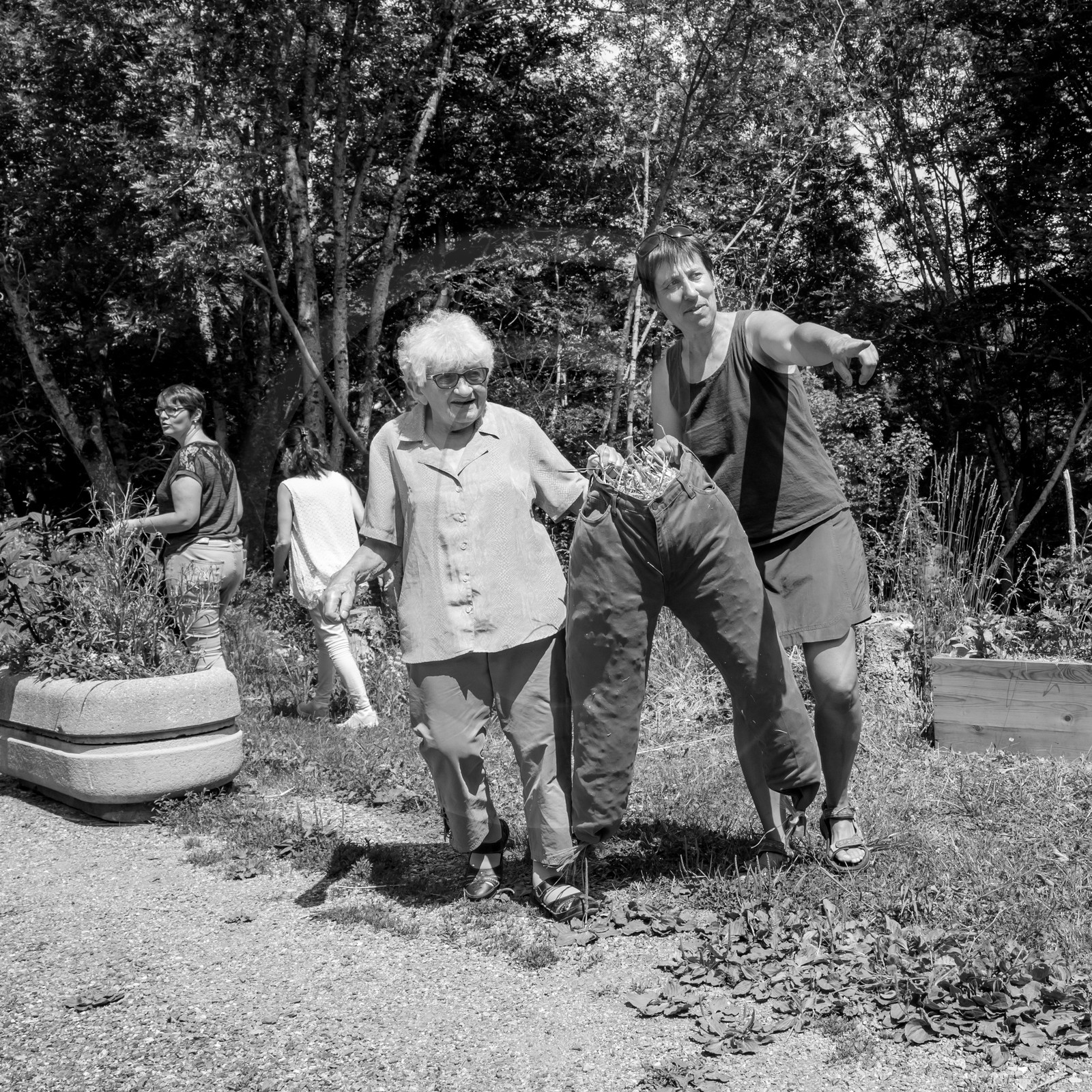 21 juin 2017 - Installation des épouvantails