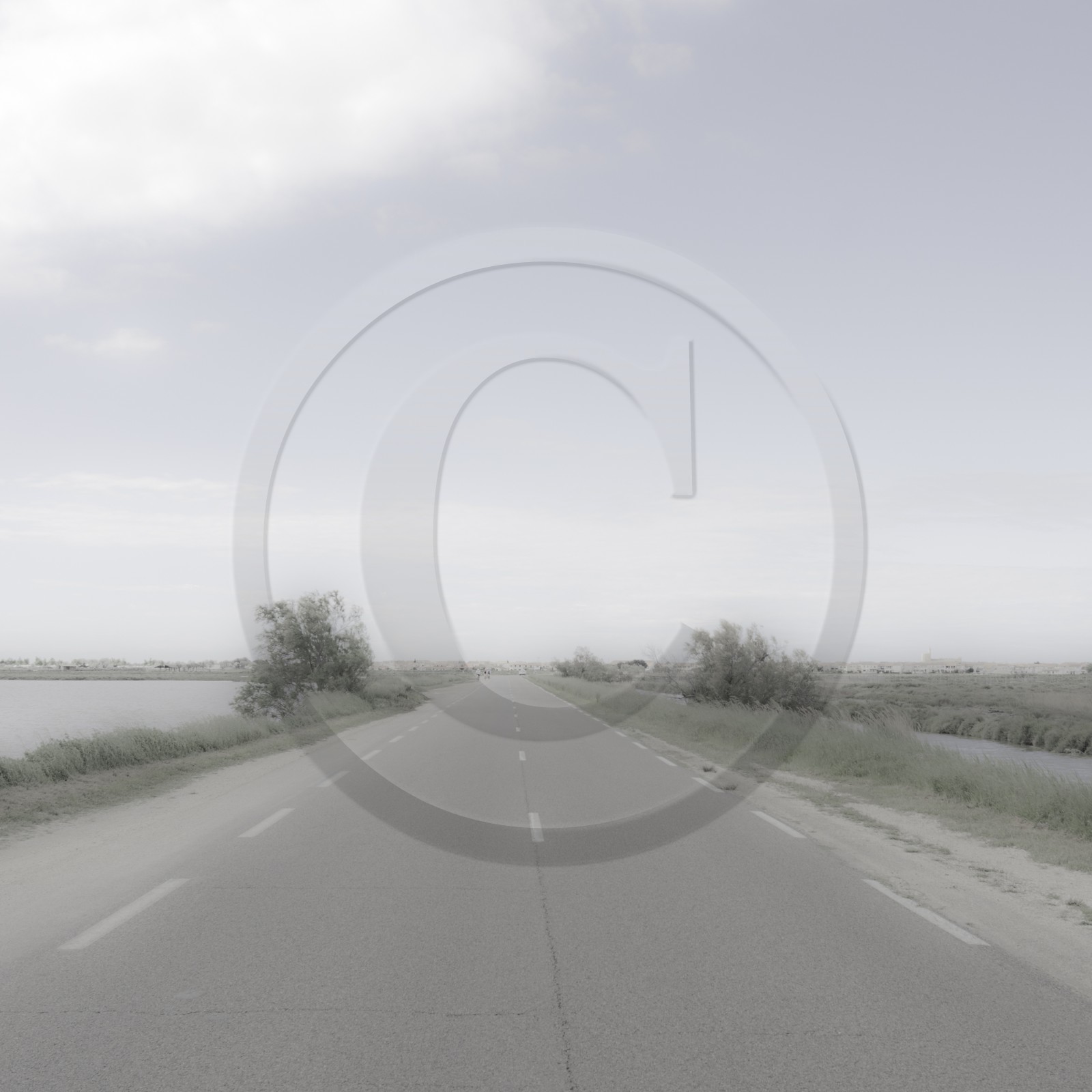 Camargue couleur pastel Camargue couleur pastel