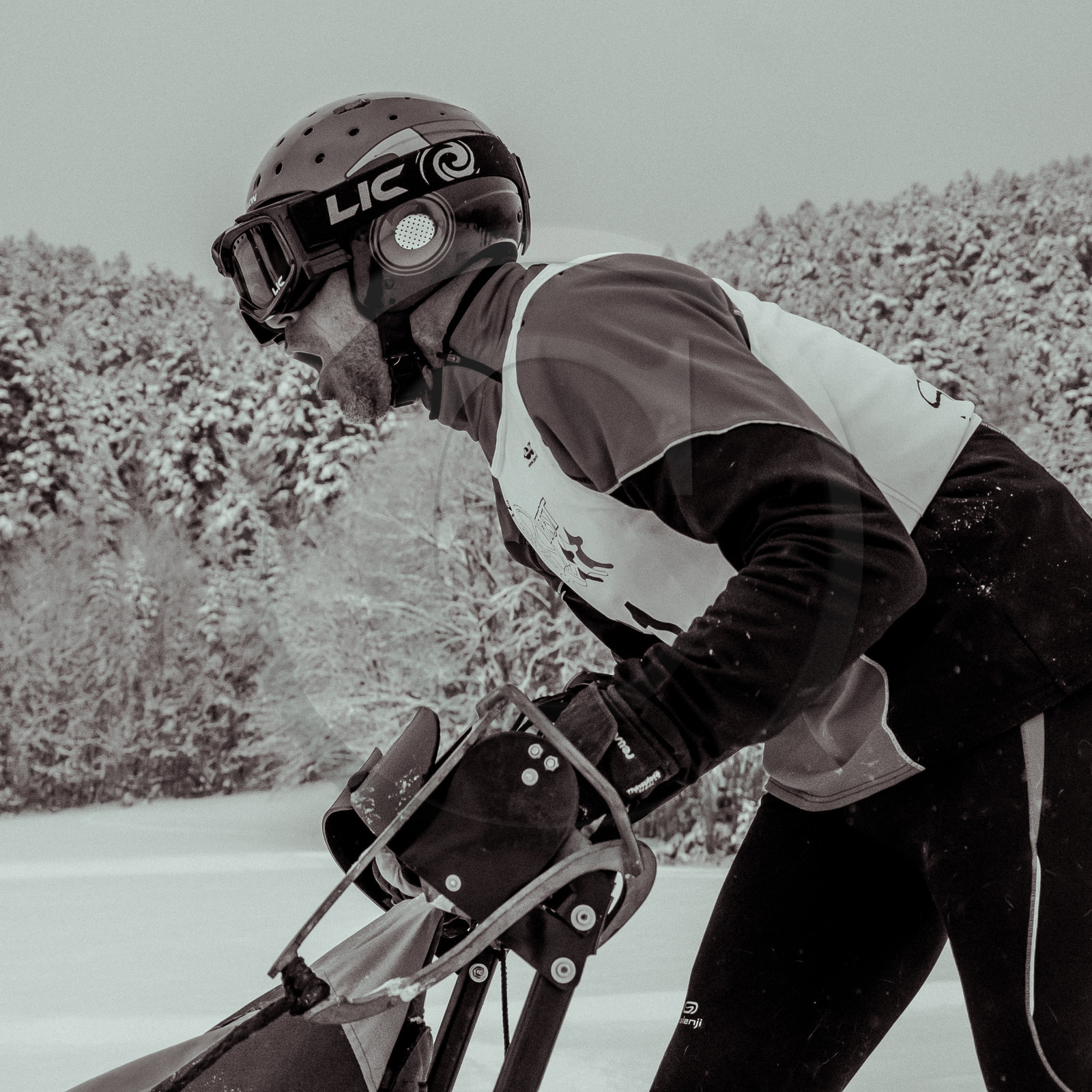 La Valgaude Traineau 2015