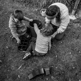 Semis, tournesols et jeux