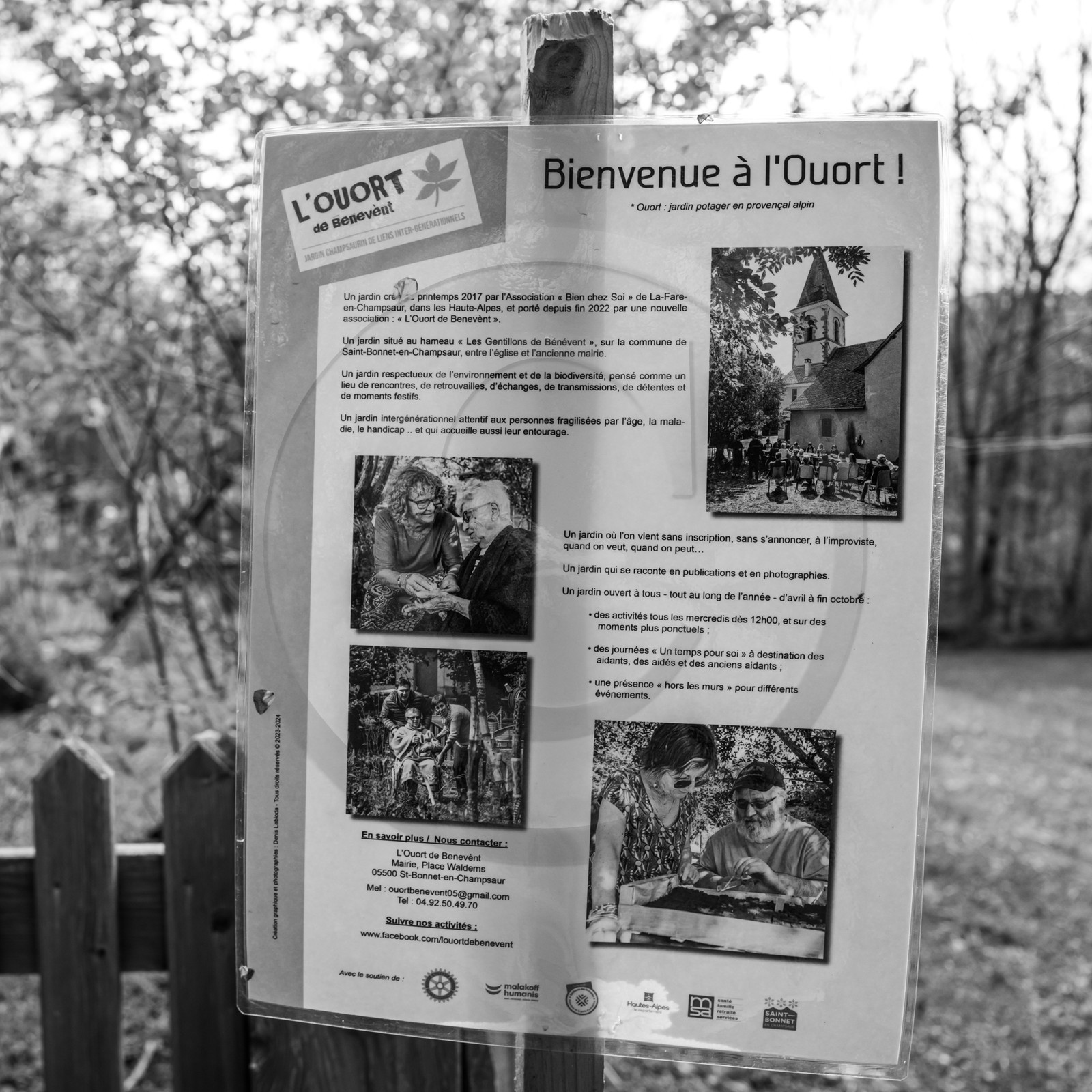 03 mai 2024 : Journée des aidants 03 mai 2024 : Journée des aidants