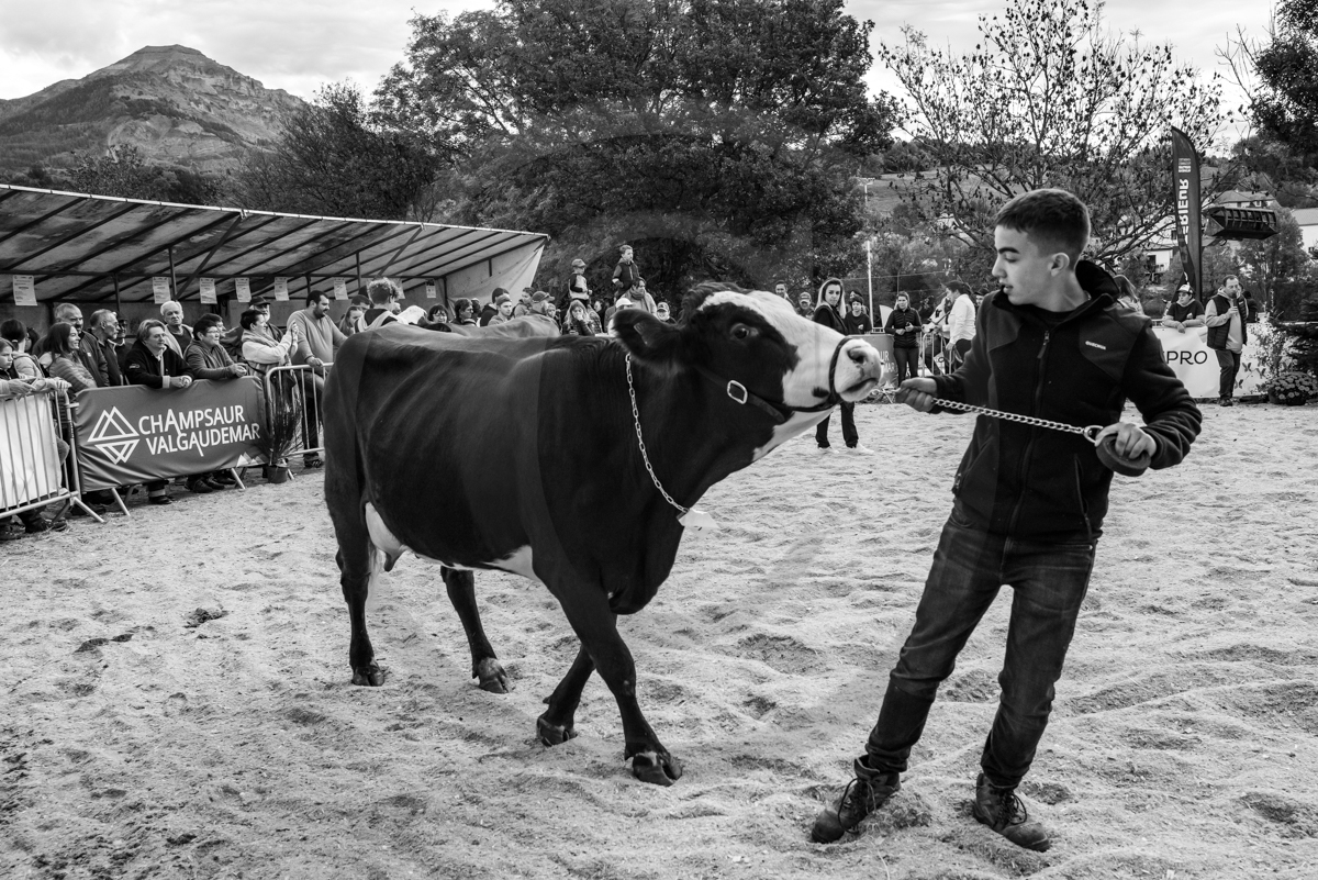Rencontres paysannes à Saint-Bonnet en Champsaur