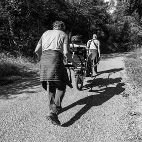 02 octobre 2019 : promenade en joelette