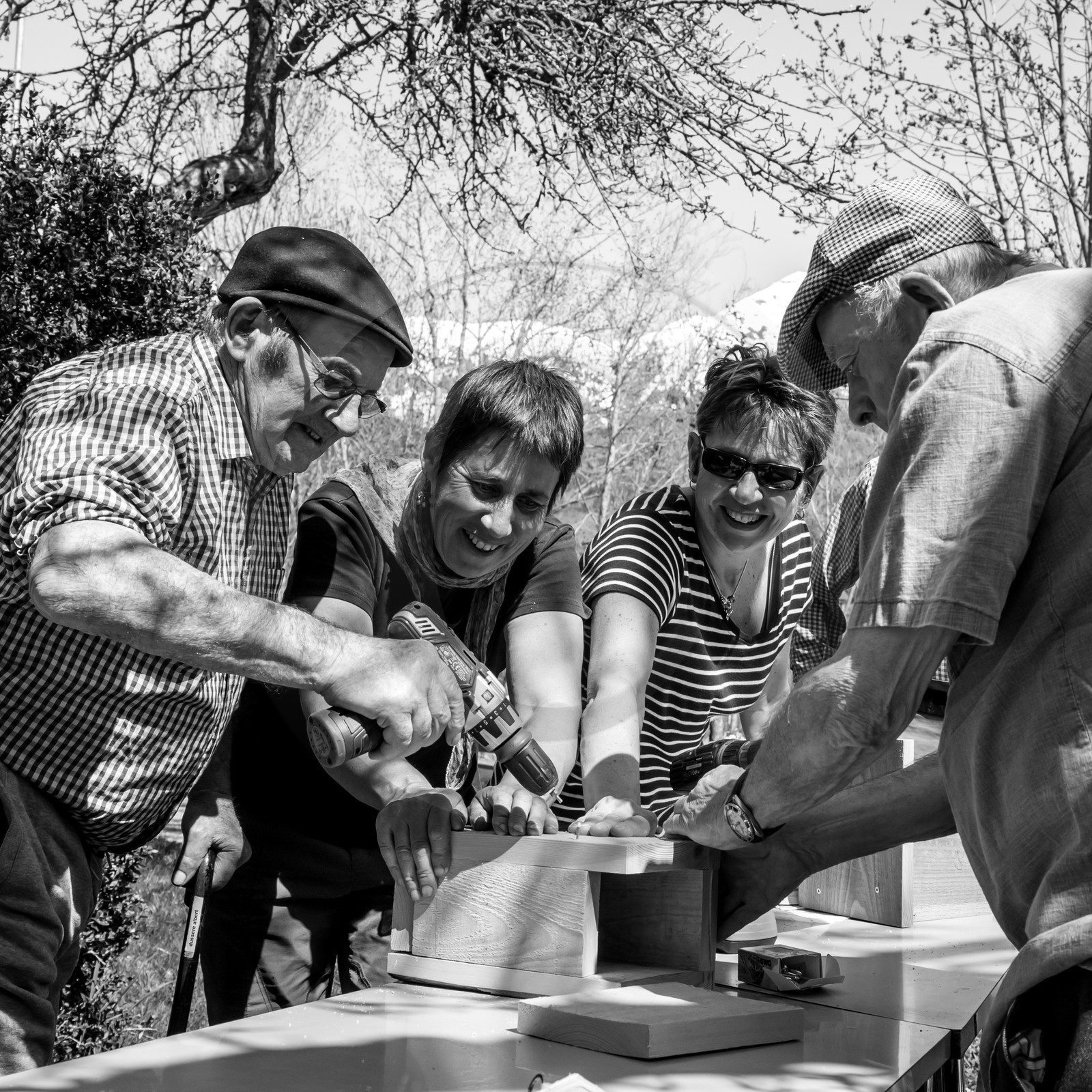 Fabrication de Nichoirs