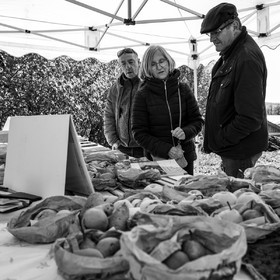 05 novembre 2022 : des pommes et des soupes