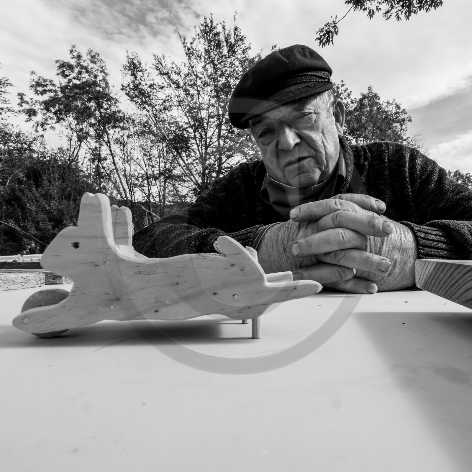 Semis, tournesols et jeux Semis, tournesols et jeux