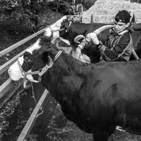 Rencontres paysannes à Saint-Bonnet en Champsaur