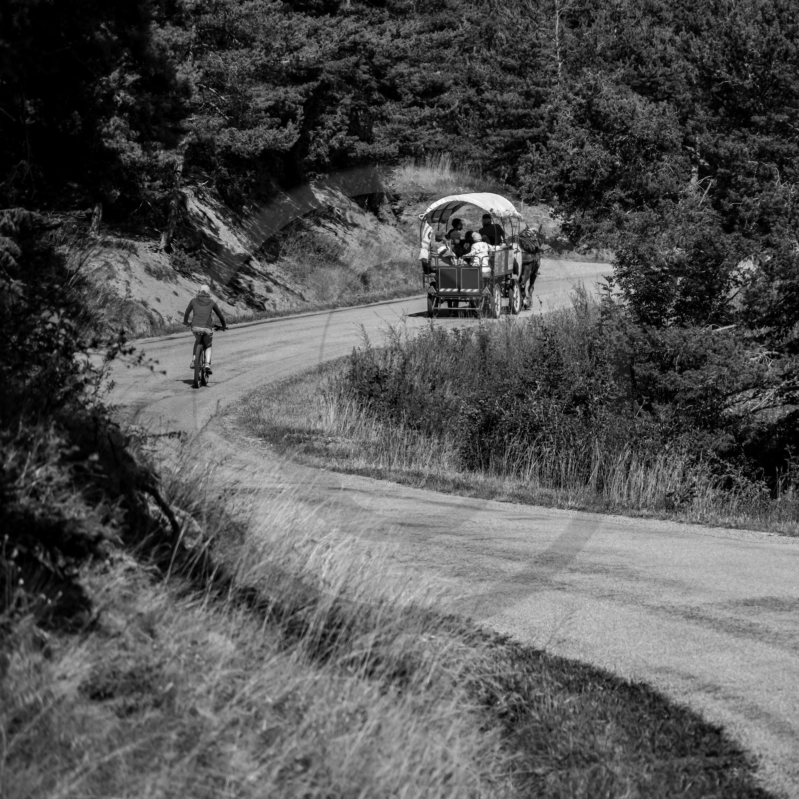01 septembre 2021 : Promenade en cariole et contes