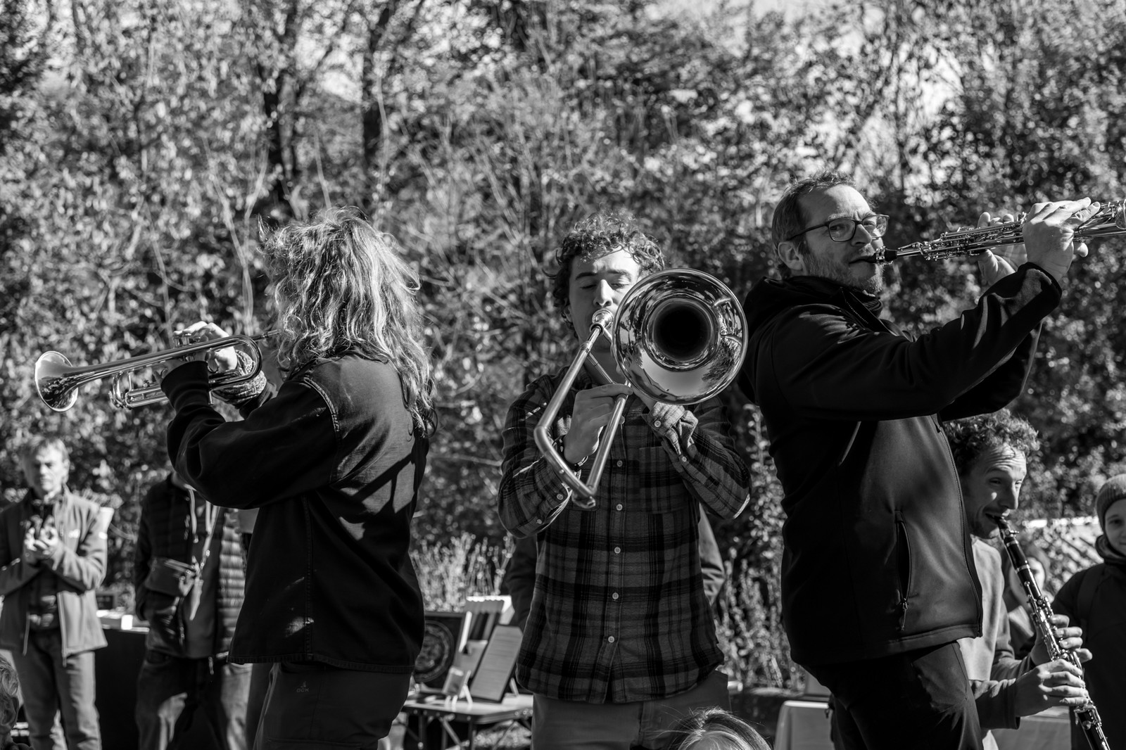 26 octobre 2025 : Les oiseaux de trottoir