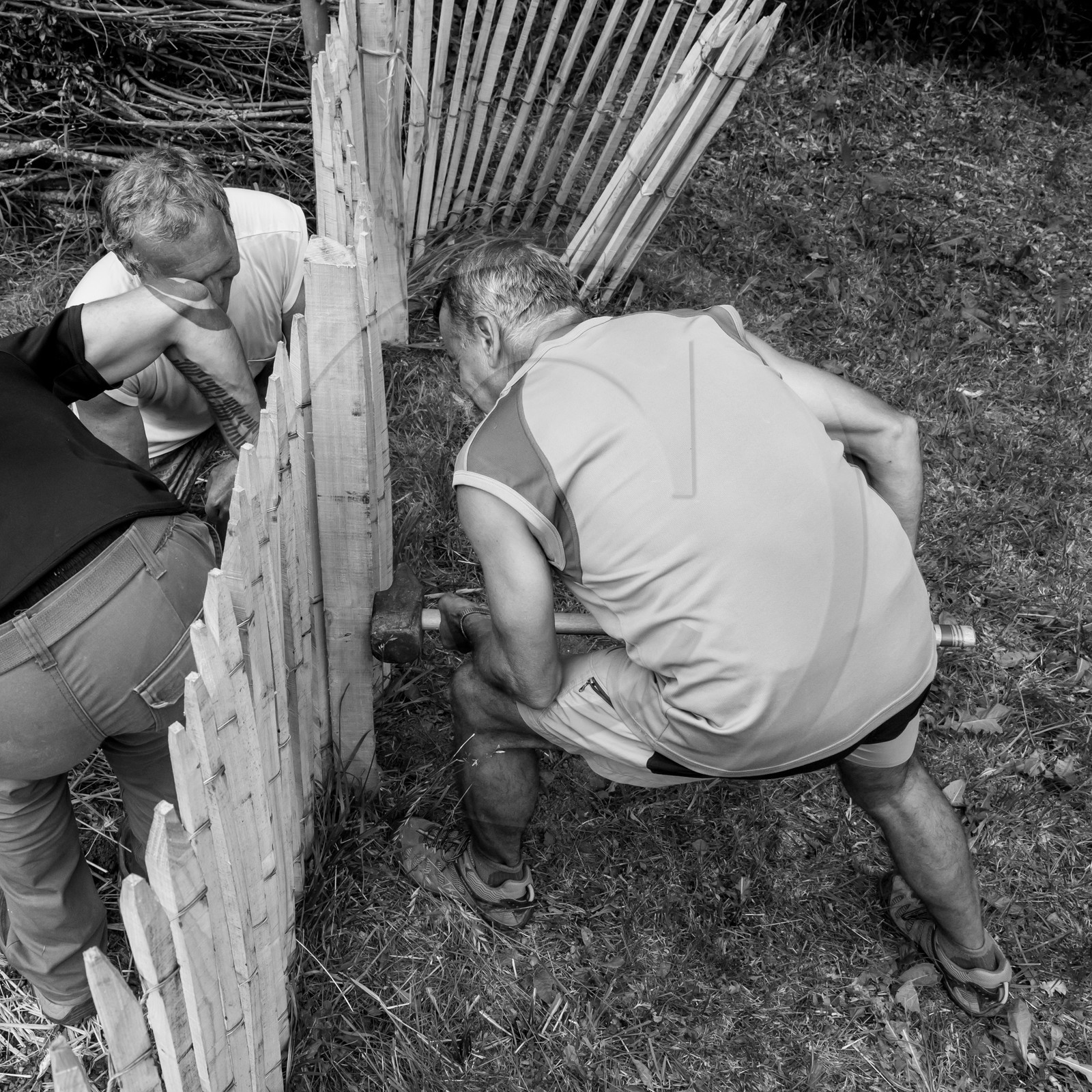 14 juin 2017 - Pose de la clôture 14 juin 2017 - Pose de la clôture