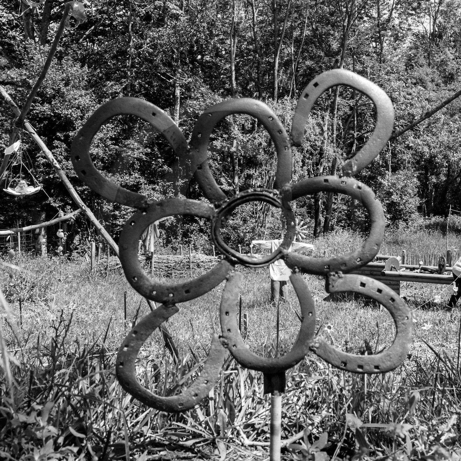 12 juin 2019 : Après-midi au jardin