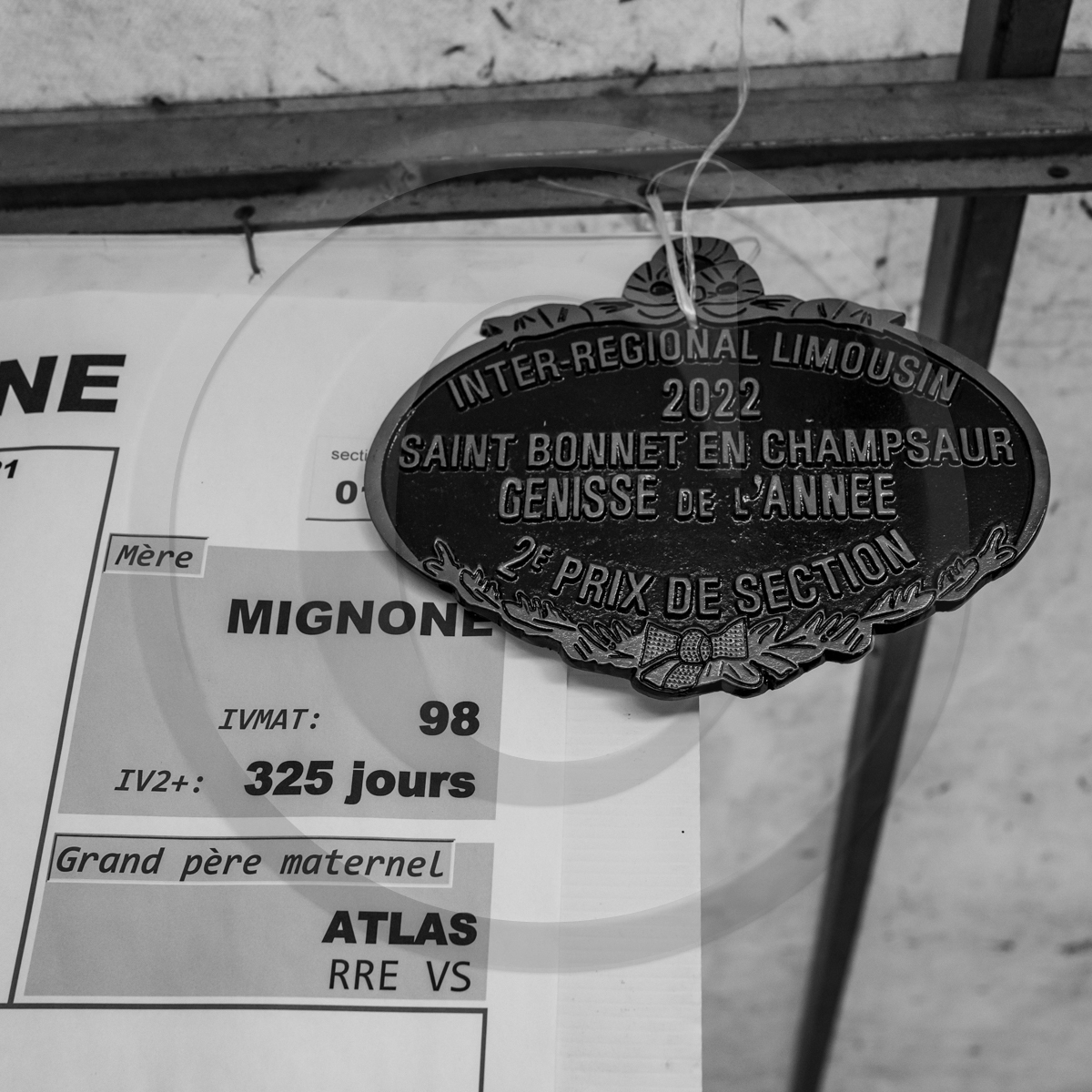 Rencontres paysannes à Saint-Bonnet en Champsaur