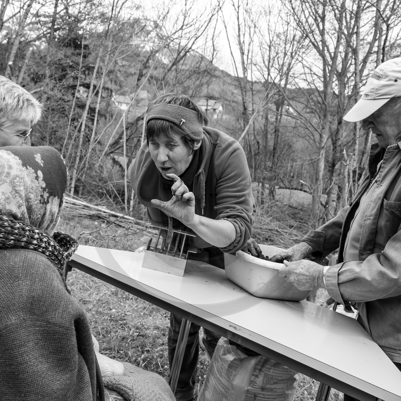 03 mai 2017 - Bac, semis et plantations 03 mai 2017 - Bac, semis et plantations