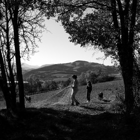Des moutons et des parcs