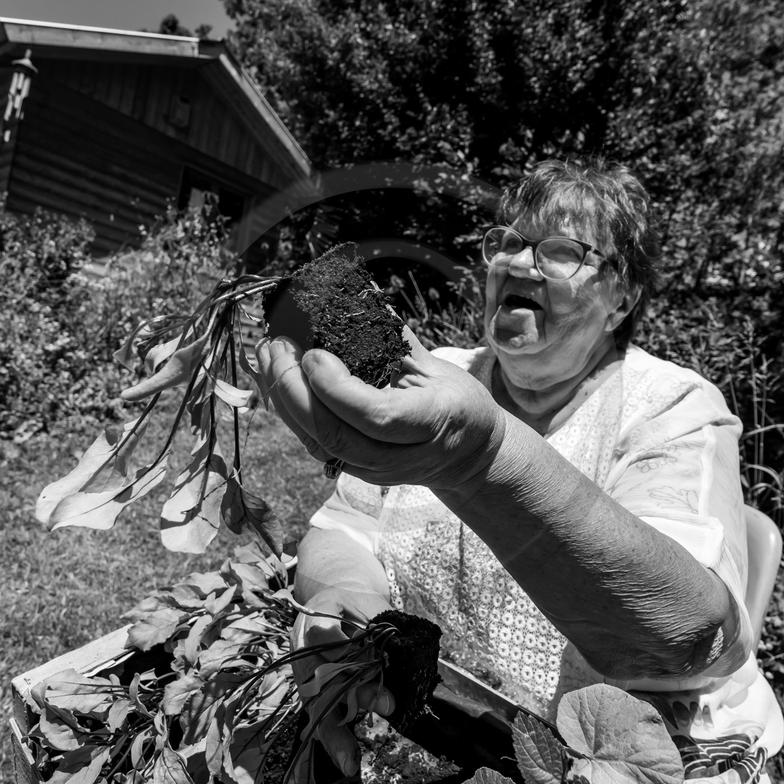 30 juin 2021 : Jardinage, jeux de cartes, masques