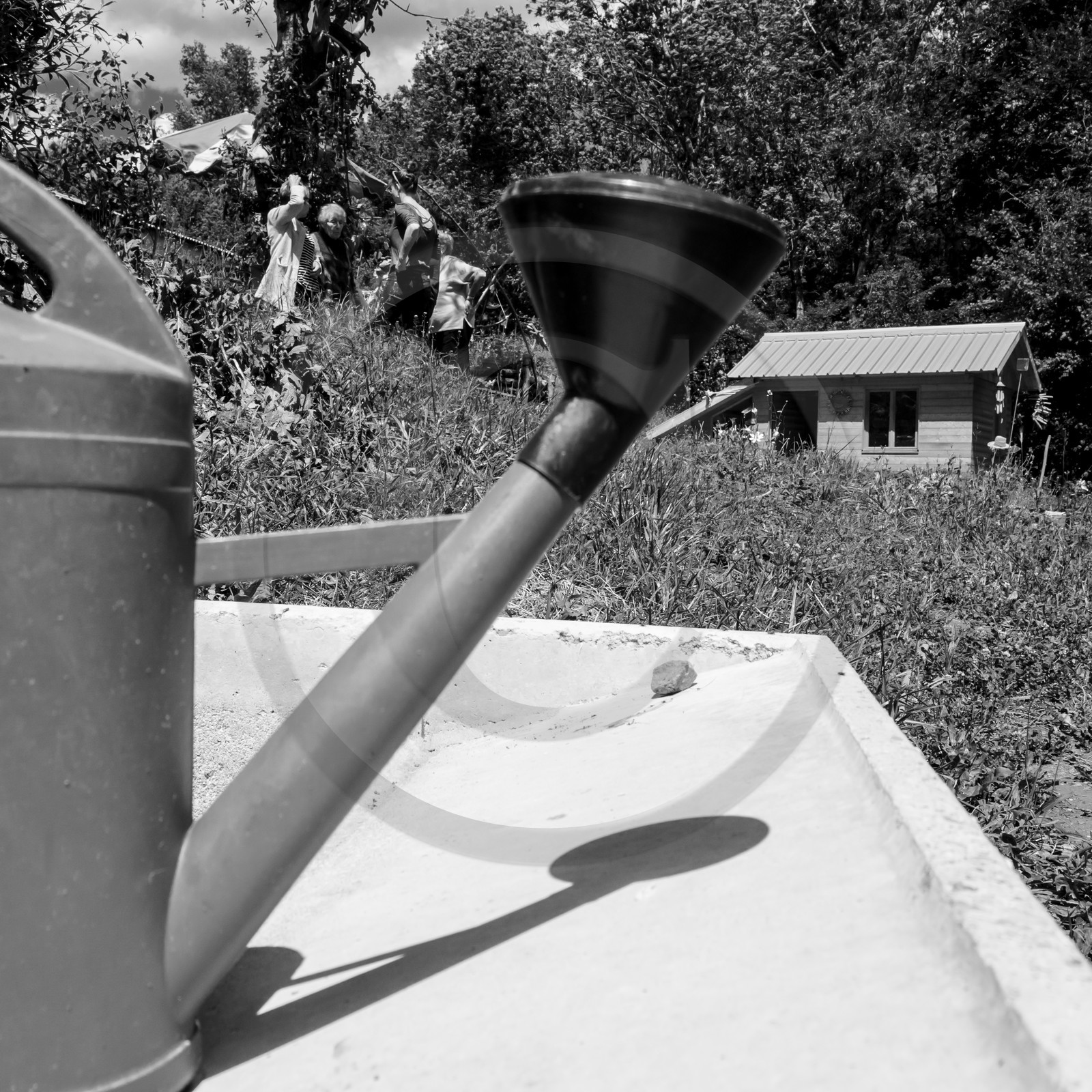 12 juin 2019 : Après-midi au jardin