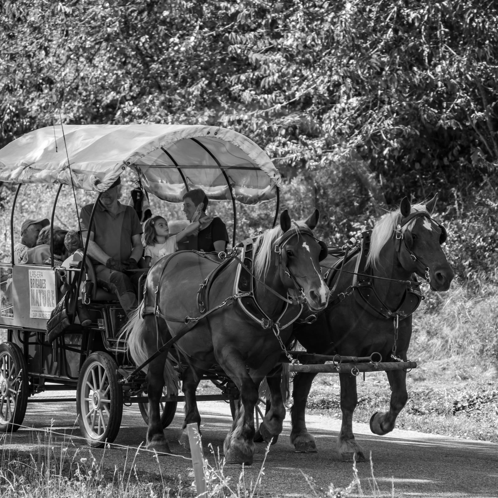 01 septembre 2021 : Promenade en cariole et contes