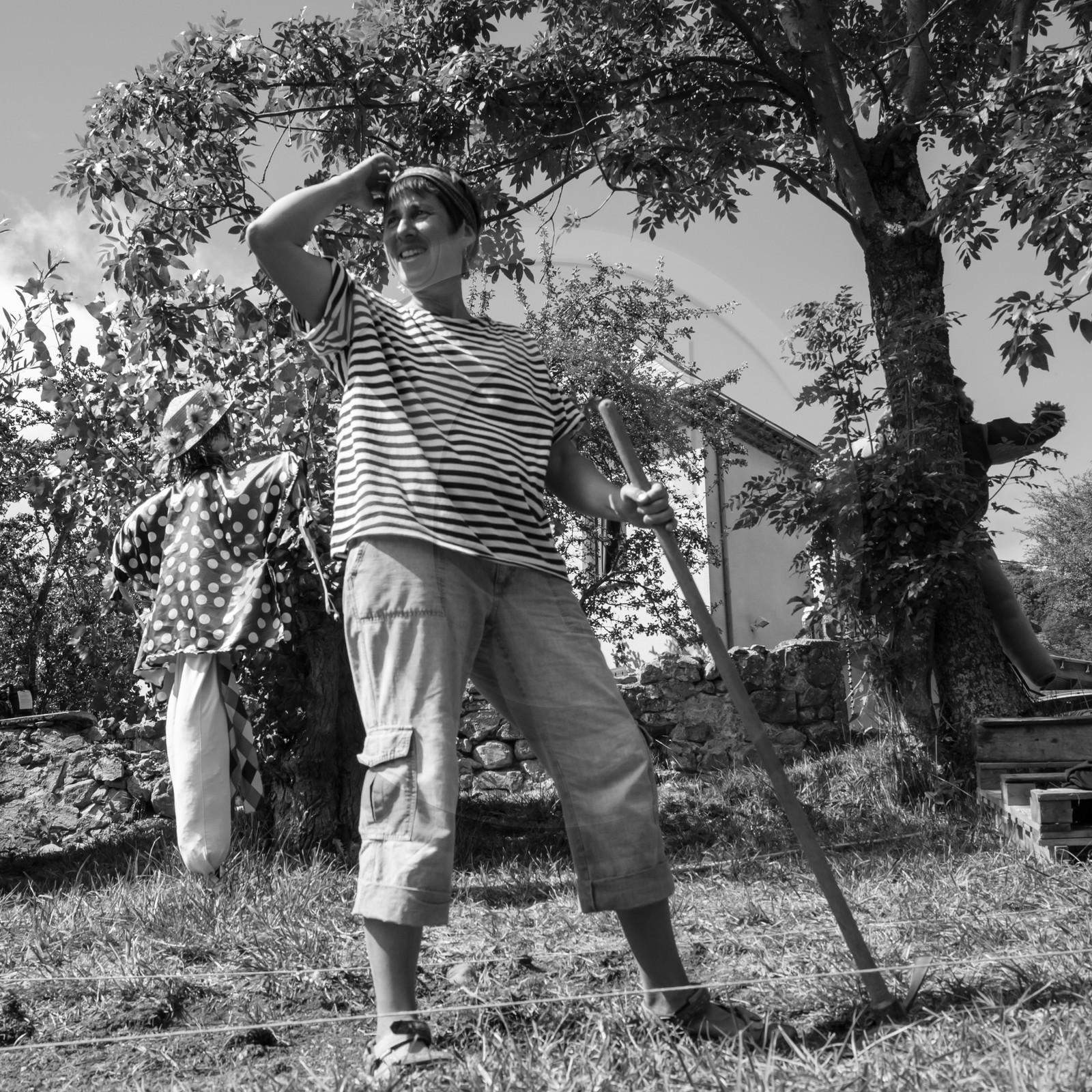 13 septembre 2017 - Chemins - Graines