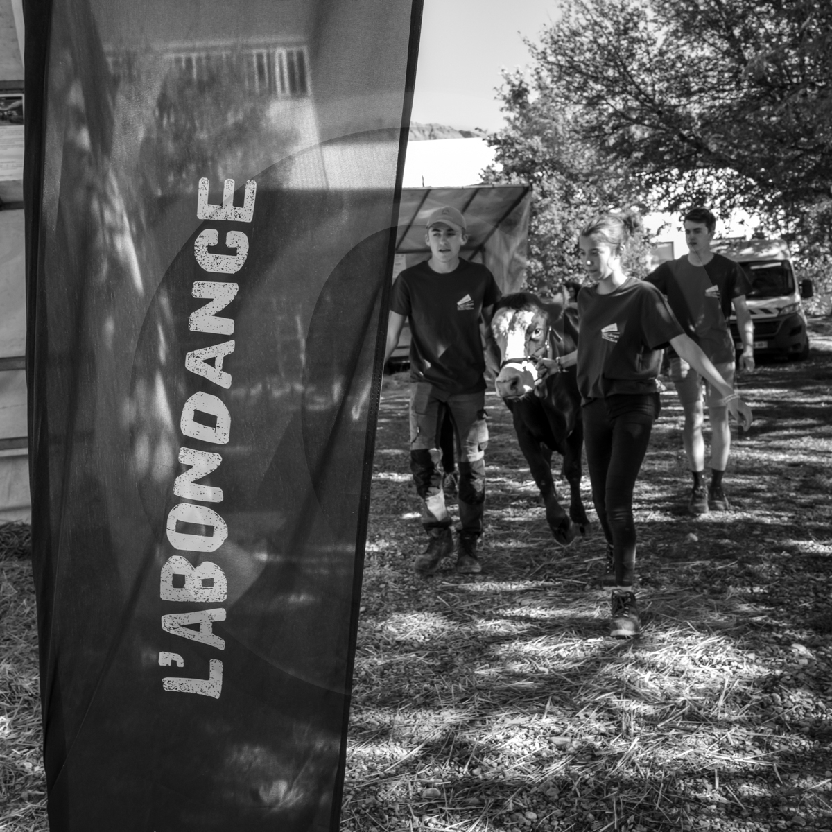 Rencontres paysannes à Saint-Bonnet en Champsaur