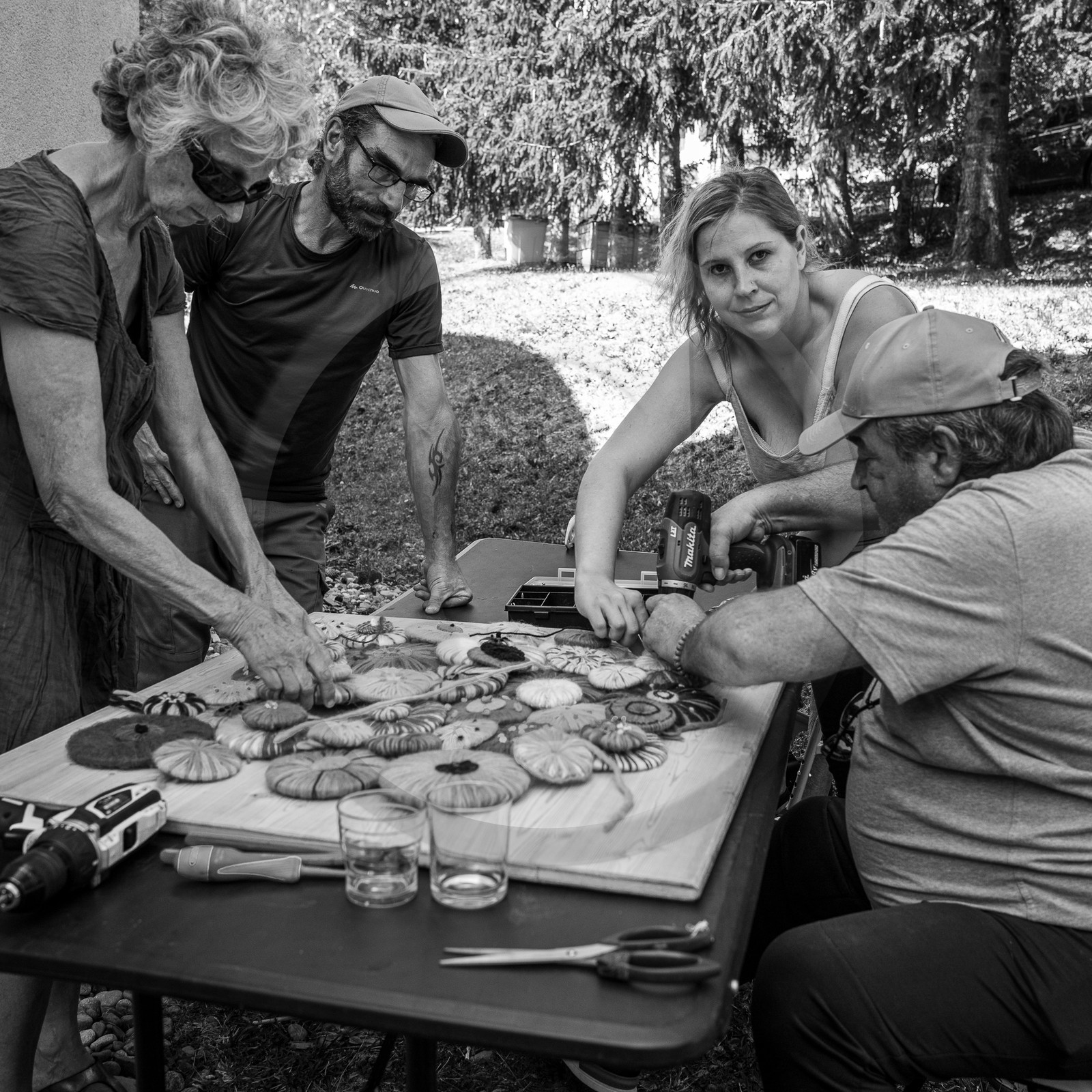 06 septembre 2023 : laine, couture et semis