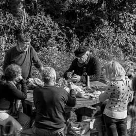 Semis, tournesols et jeux