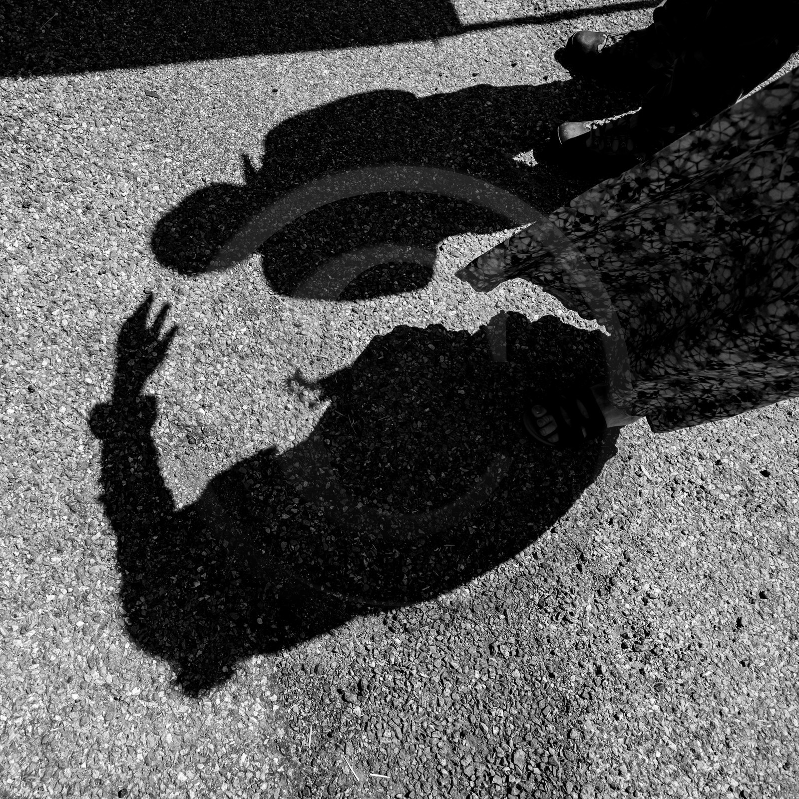 06 juin 2021 : Vide-Jardin et peinture végétale