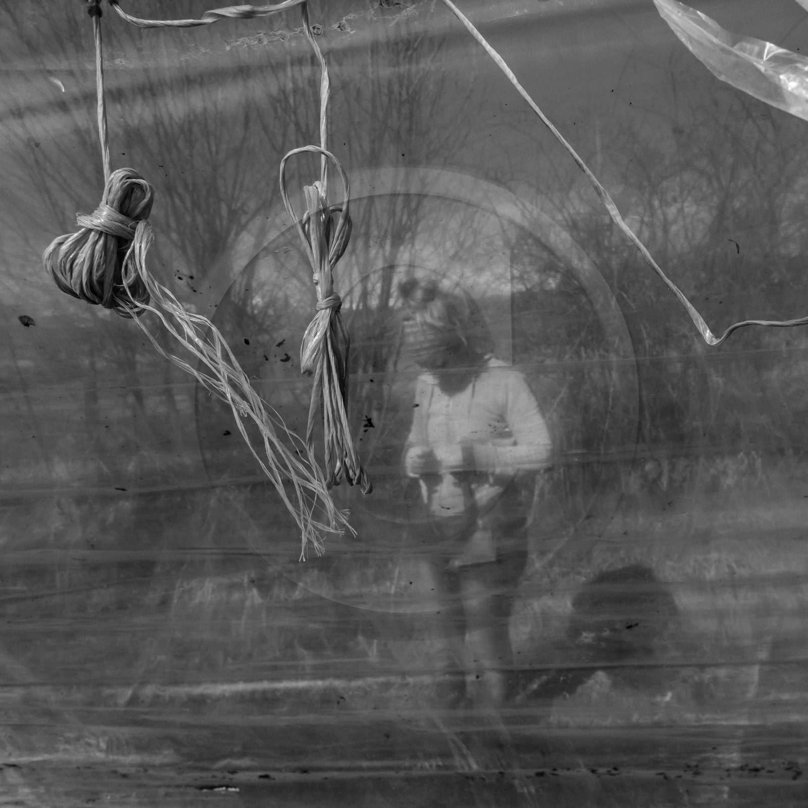 Montage de serres tunnel Montage de serres tunnel