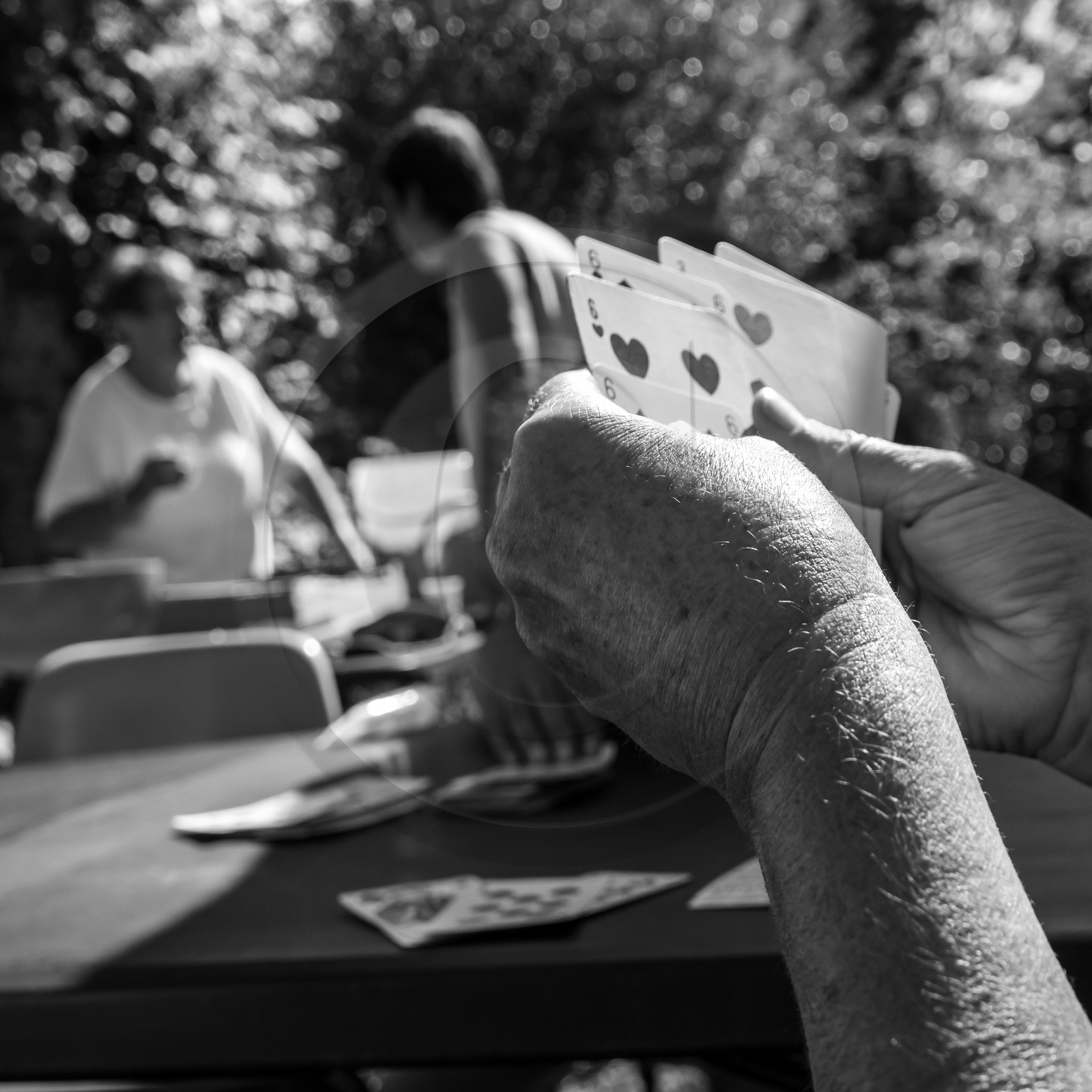 Activités au jardin Activités au jardin