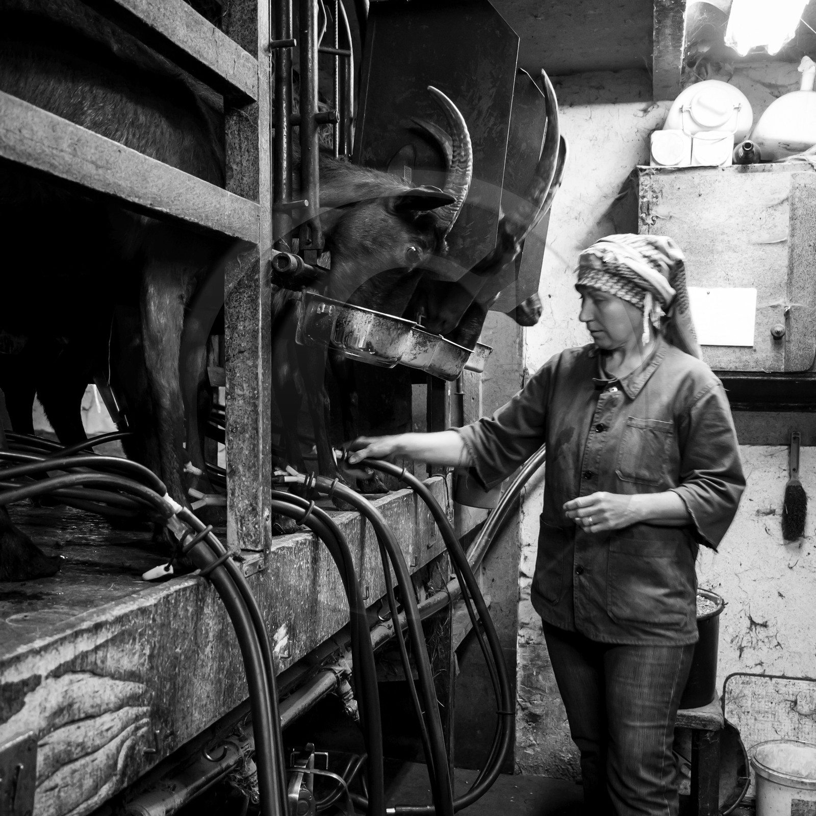 La ferme de Coste Joffre