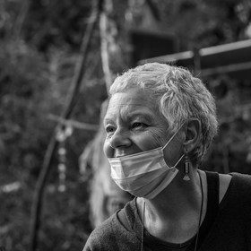 Semis, tournesols et jeux