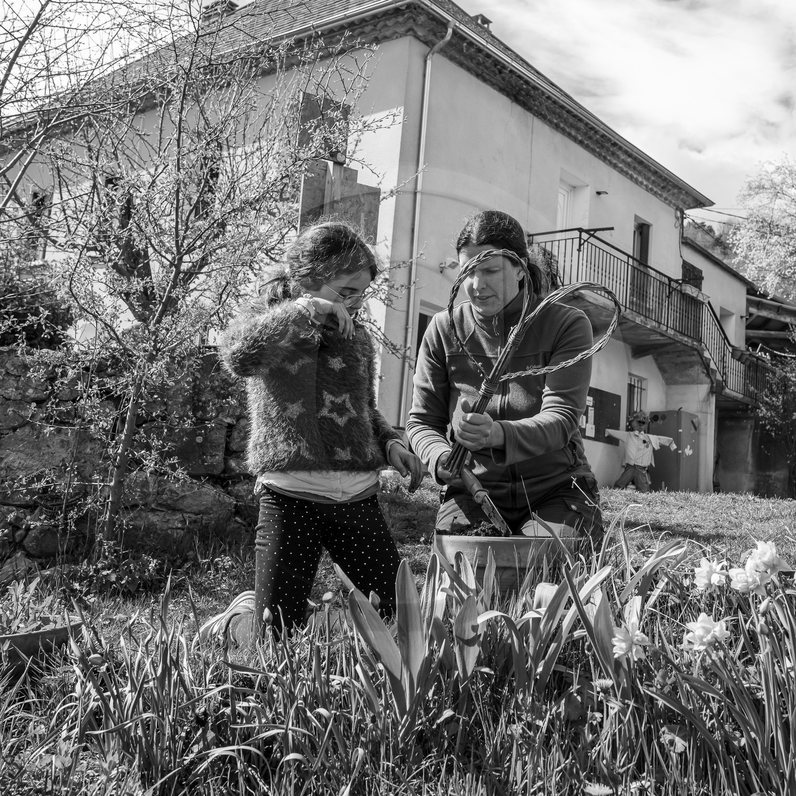 10 avril 2024 : Osier, laine et taille